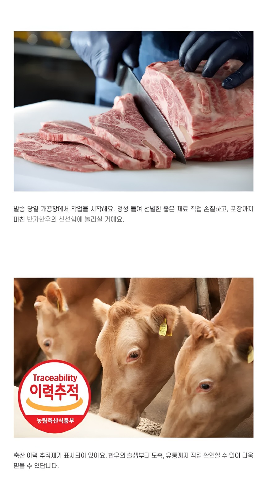 a45451899097f9a5bb2435514e5255f2_1773389120_8415.jpg a45451899097f9a5bb2435514e5255f2_1773389120_8415.jpg