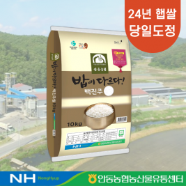 밥이 다르다! 안동농협 백진주쌀 10kg