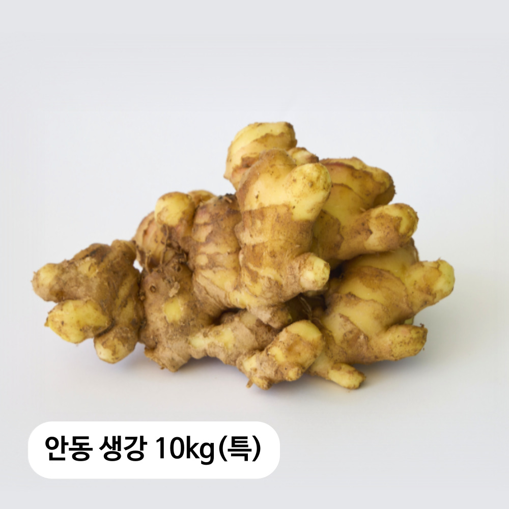 생강이다르다! 안동 흙생강 10kg(특)