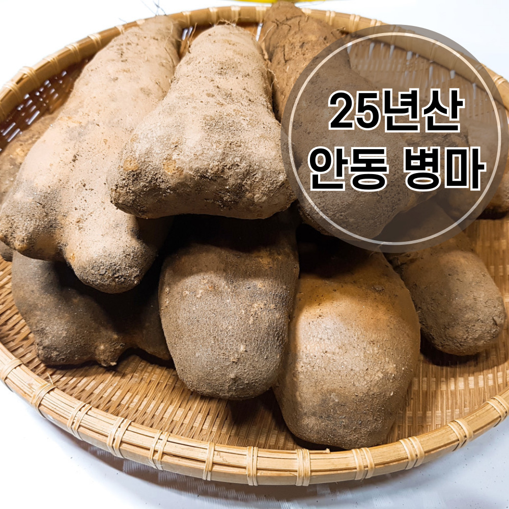 25년산 안동 병마 3kg 상