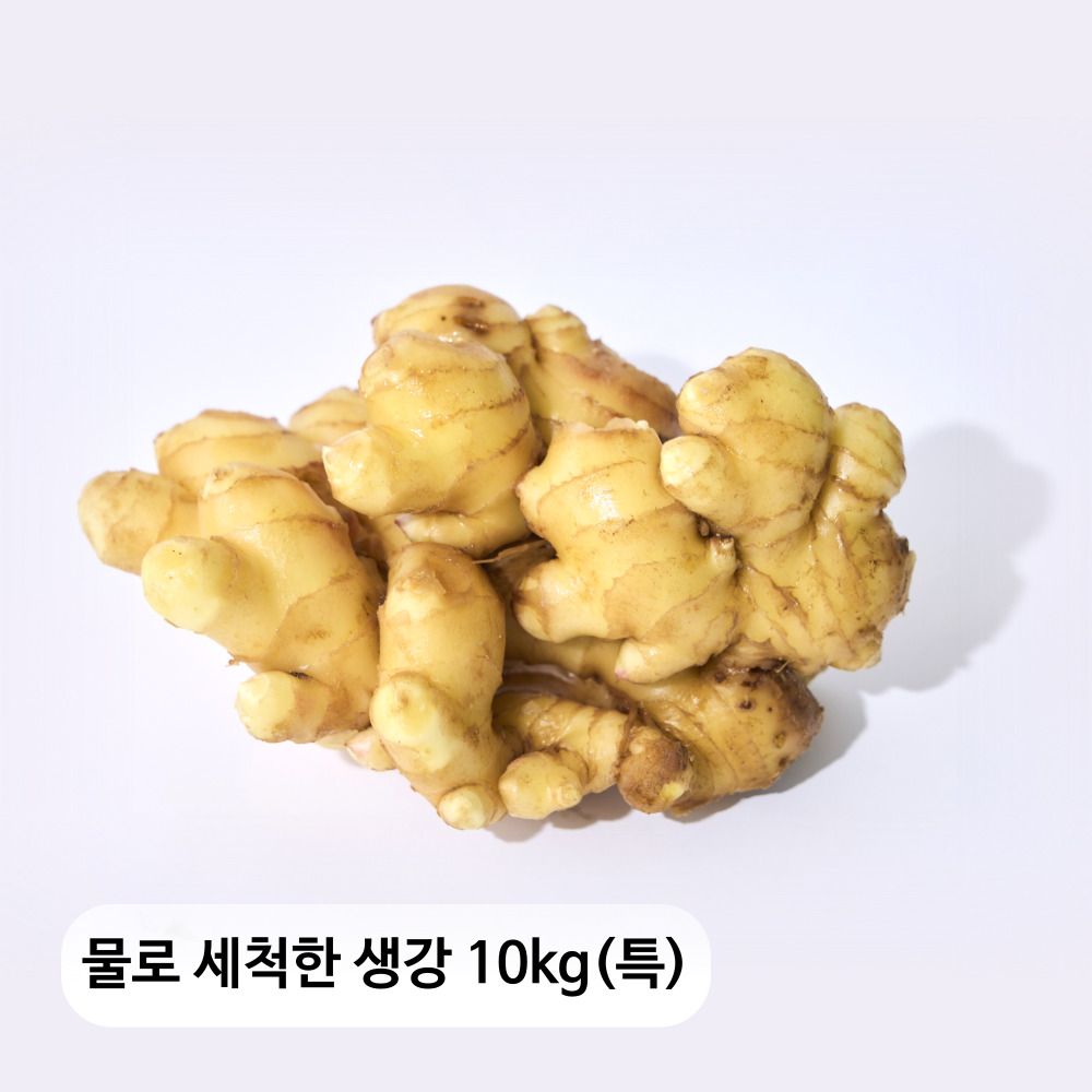 생강이다르다! 물로 세척한 생강 10kg(특)