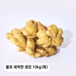 생강이다르다! 물로 세척한 생강 10kg(특)