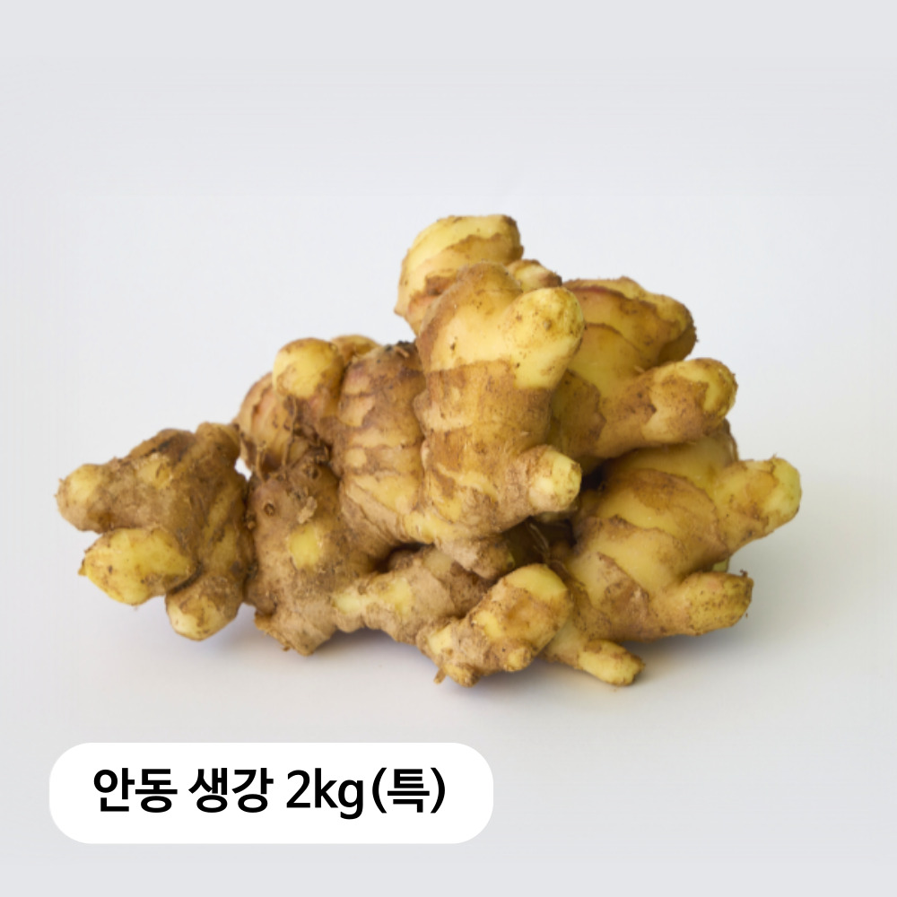 생강이다르다! 안동 흙생강 2kg(특)