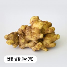 생강이다르다! 안동 흙생강 2kg(특)